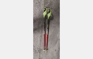 Bâtons ski GS 105 et 110 et SL avec protection 105