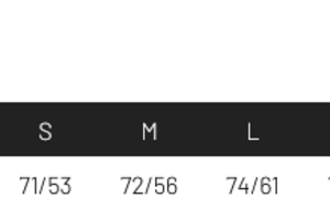 Sweat à Capuche brodé 2025