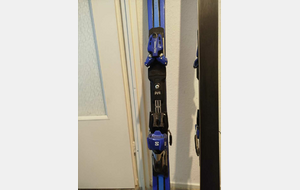 SALOMON GS JR 166 cm